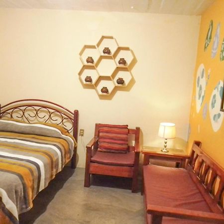 Los Nardos Hostel -Pet Friendly- Oaxaca 外观 照片