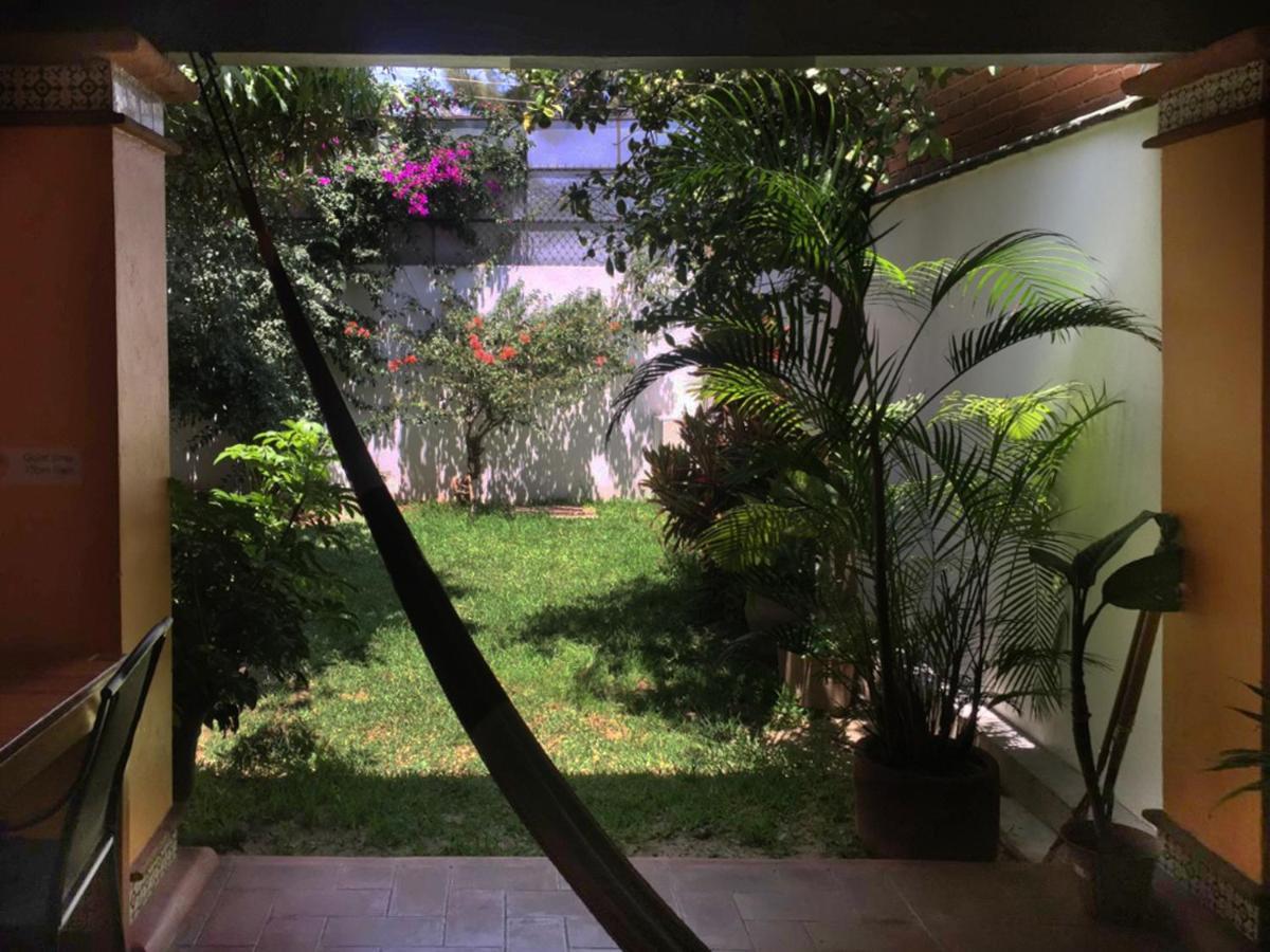 Los Nardos Hostel -Pet Friendly- Oaxaca 外观 照片