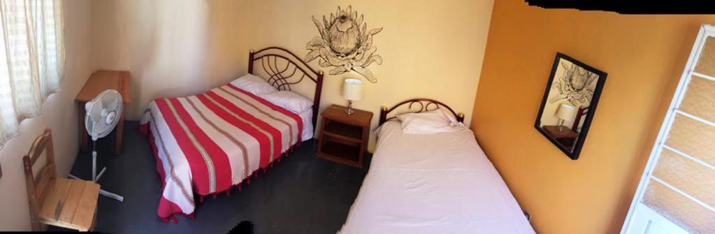 Los Nardos Hostel -Pet Friendly- Oaxaca 外观 照片