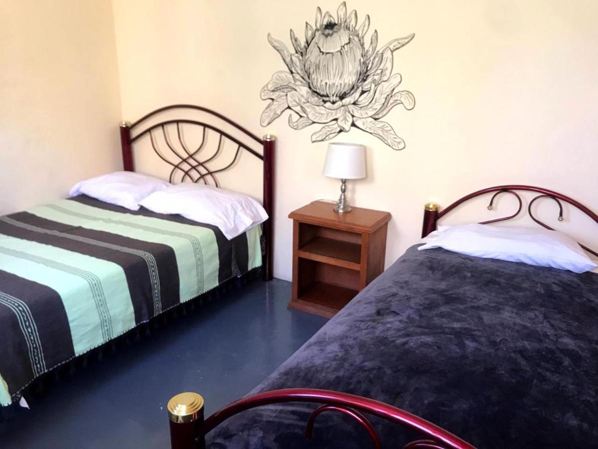 Los Nardos Hostel -Pet Friendly- Oaxaca 外观 照片