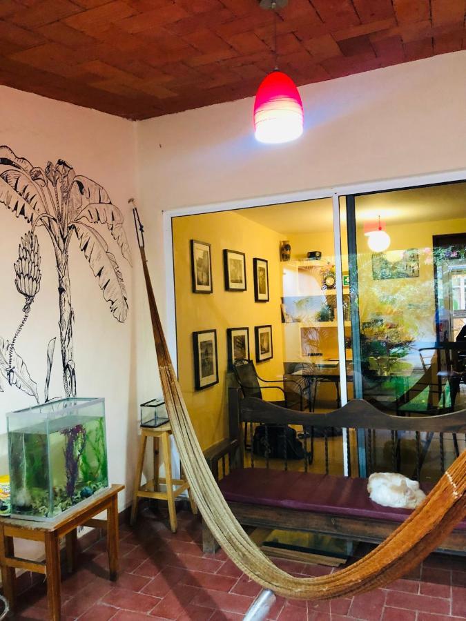 Los Nardos Hostel -Pet Friendly- Oaxaca 外观 照片