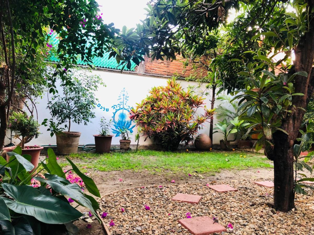 Los Nardos Hostel -Pet Friendly- Oaxaca 外观 照片