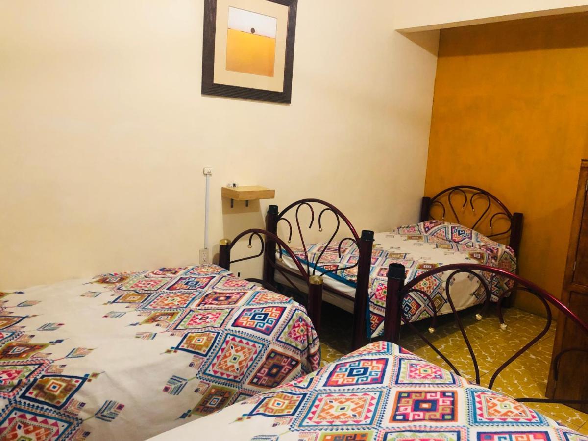 Los Nardos Hostel -Pet Friendly- Oaxaca 外观 照片