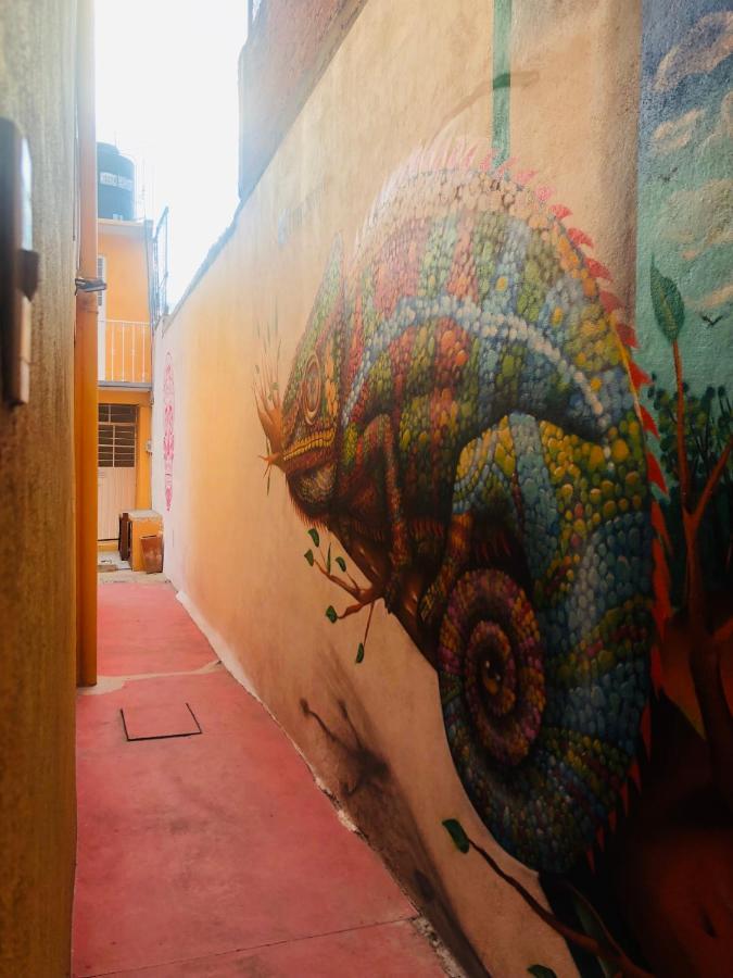 Los Nardos Hostel -Pet Friendly- Oaxaca 外观 照片