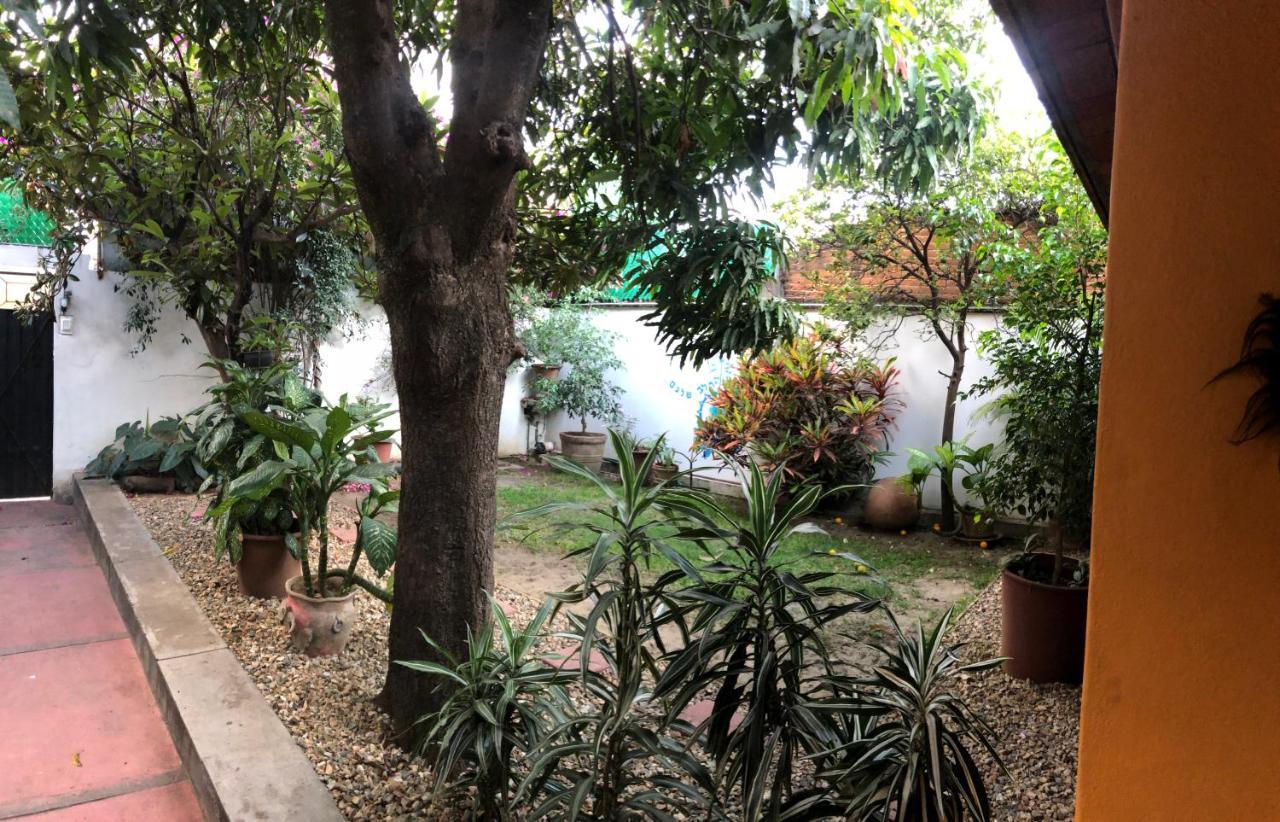 Los Nardos Hostel -Pet Friendly- Oaxaca 外观 照片