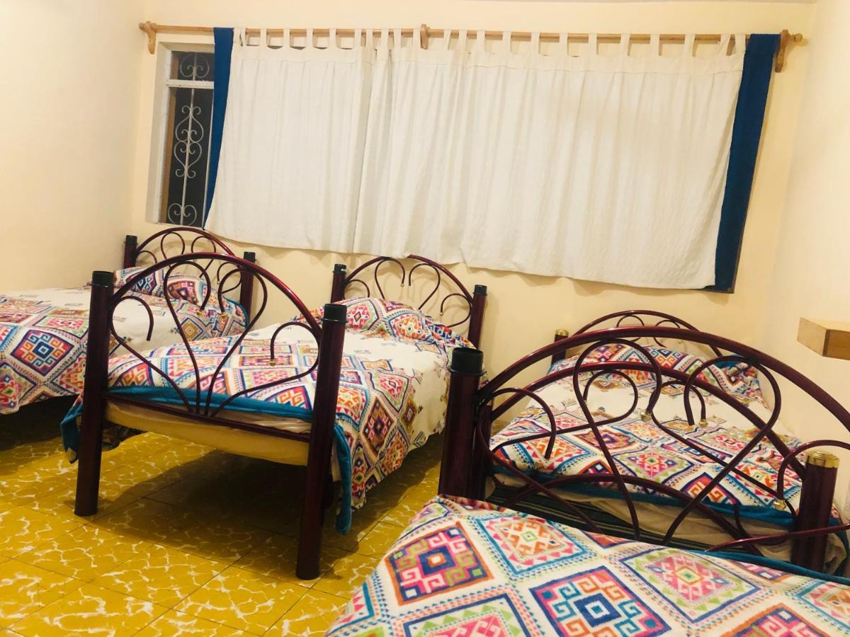 Los Nardos Hostel -Pet Friendly- Oaxaca 外观 照片