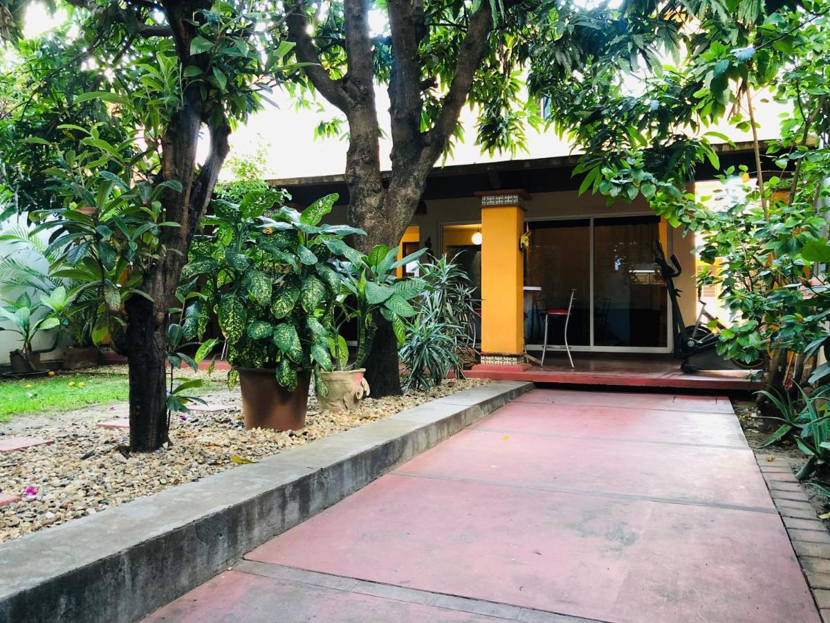 Los Nardos Hostel -Pet Friendly- Oaxaca 外观 照片