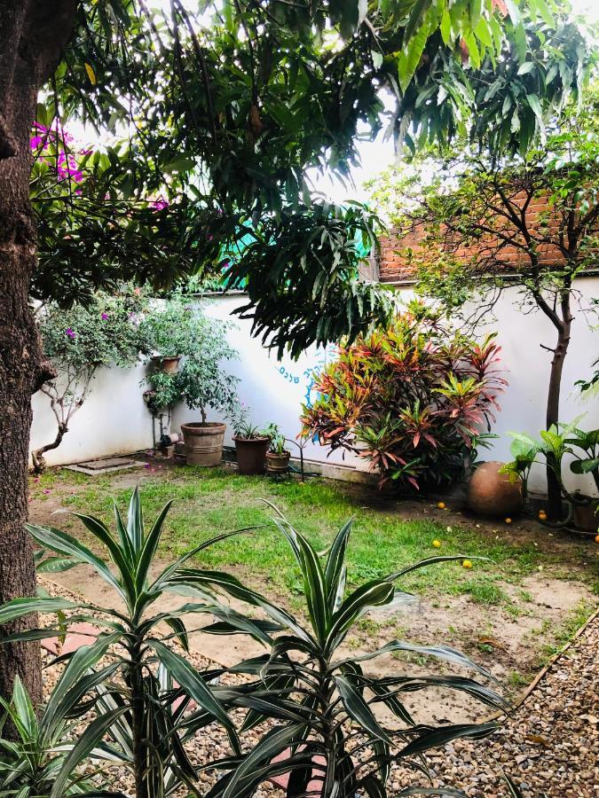 Los Nardos Hostel -Pet Friendly- Oaxaca 外观 照片