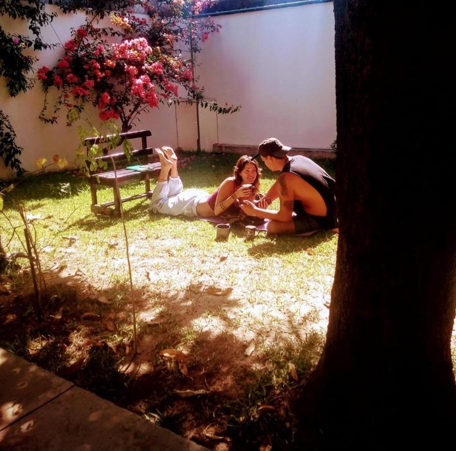 Los Nardos Hostel -Pet Friendly- Oaxaca 外观 照片