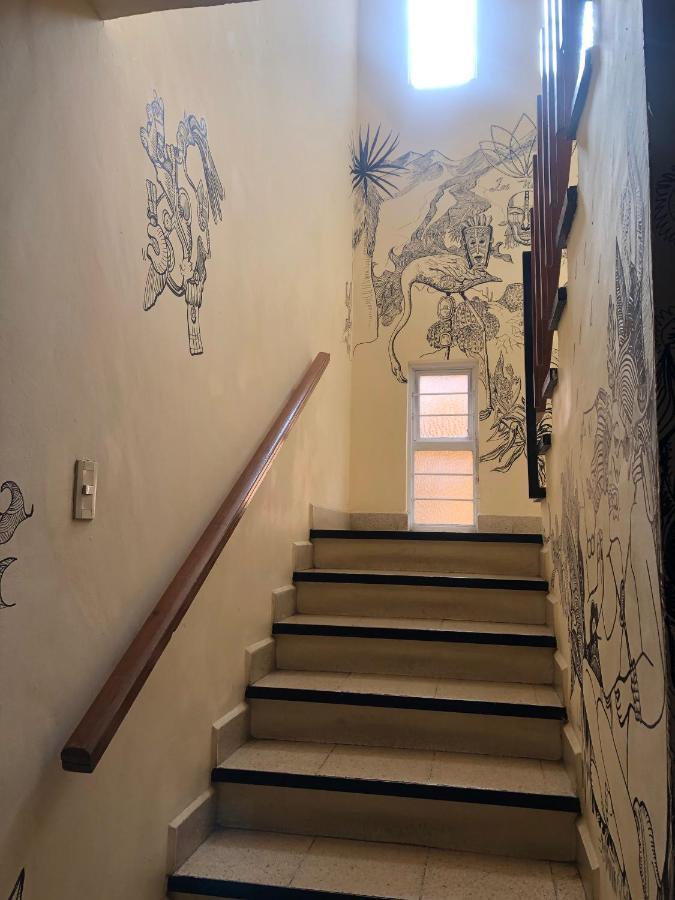 Los Nardos Hostel -Pet Friendly- Oaxaca 外观 照片