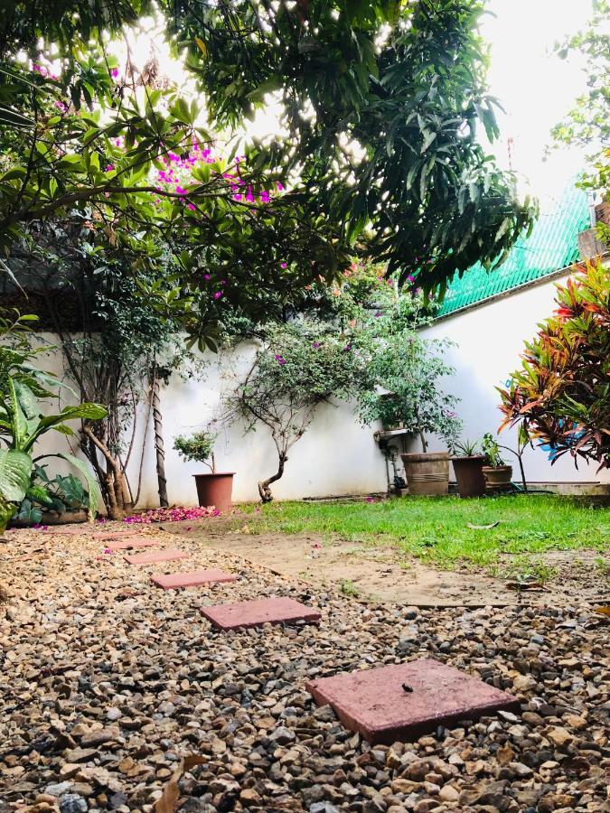 Los Nardos Hostel -Pet Friendly- Oaxaca 外观 照片