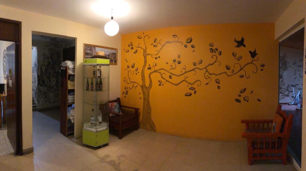 Los Nardos Hostel -Pet Friendly- Oaxaca 外观 照片