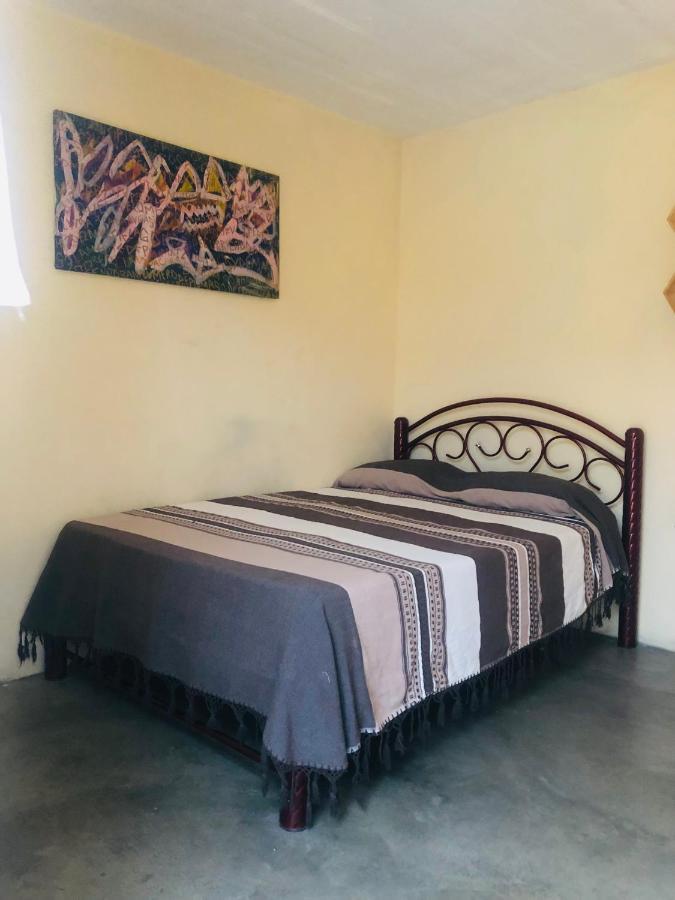 Los Nardos Hostel -Pet Friendly- Oaxaca 外观 照片