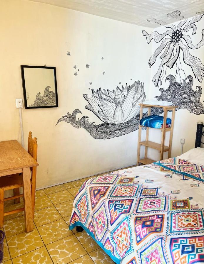 Los Nardos Hostel -Pet Friendly- Oaxaca 外观 照片