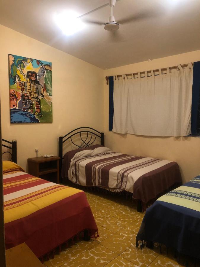 Los Nardos Hostel -Pet Friendly- Oaxaca 外观 照片