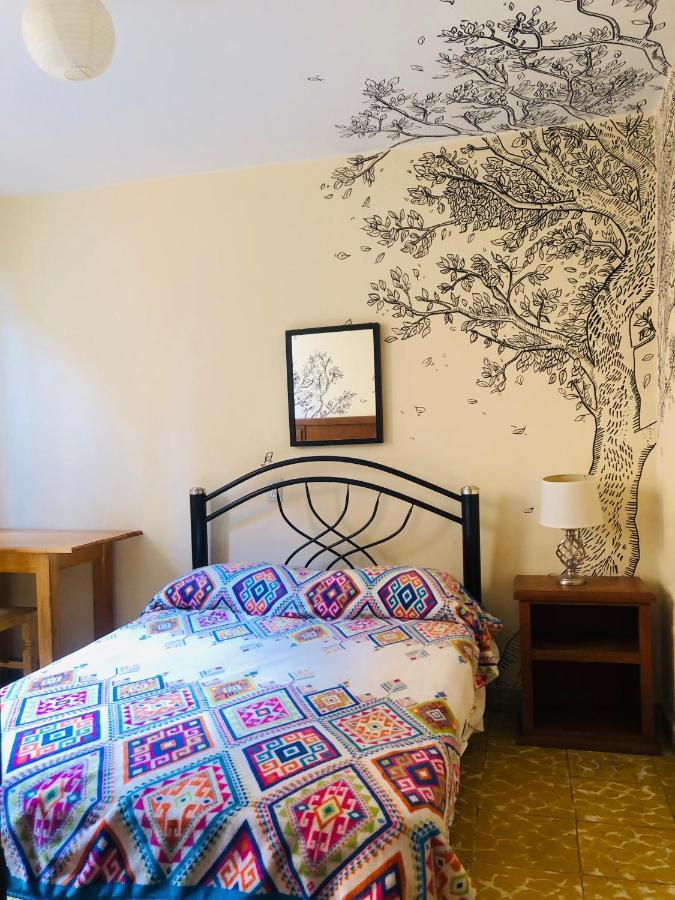 Los Nardos Hostel -Pet Friendly- Oaxaca 外观 照片