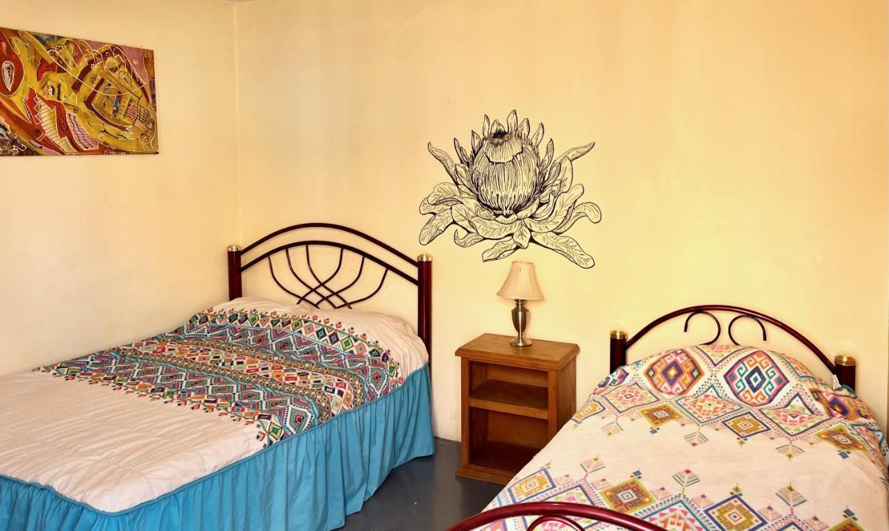 Los Nardos Hostel -Pet Friendly- Oaxaca 外观 照片