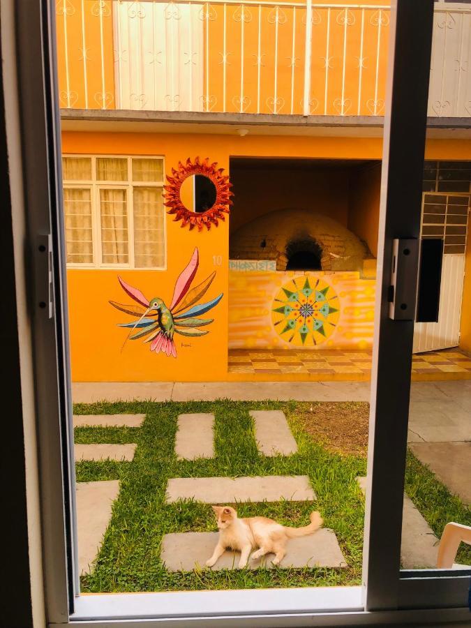 Los Nardos Hostel -Pet Friendly- Oaxaca 外观 照片