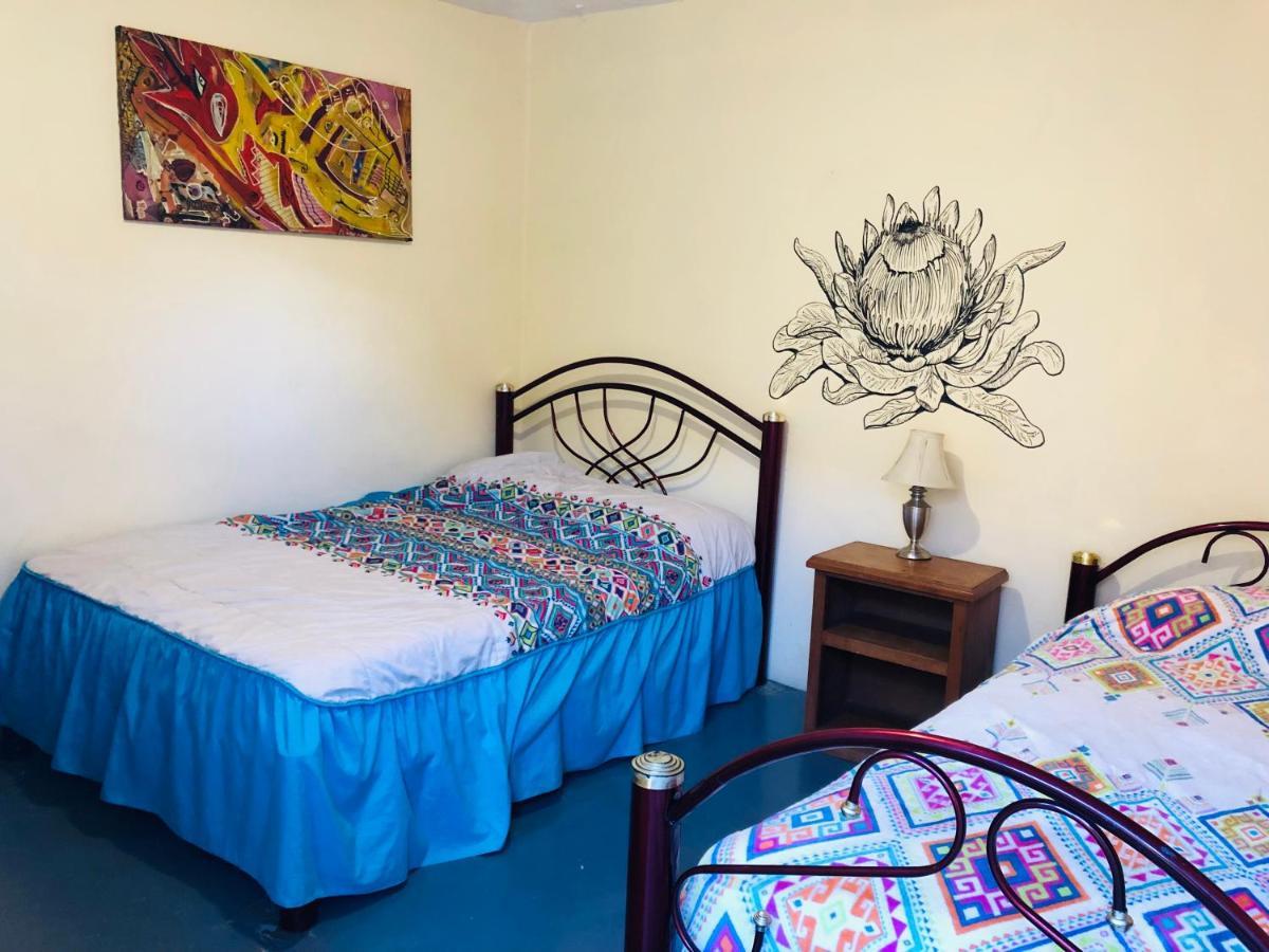 Los Nardos Hostel -Pet Friendly- Oaxaca 外观 照片