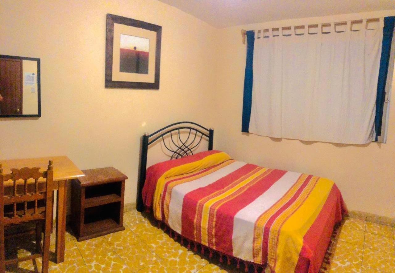 Los Nardos Hostel -Pet Friendly- Oaxaca 外观 照片