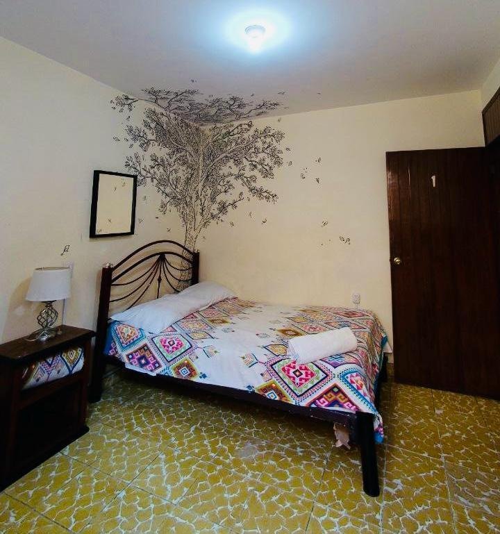 Los Nardos Hostel -Pet Friendly- Oaxaca 外观 照片