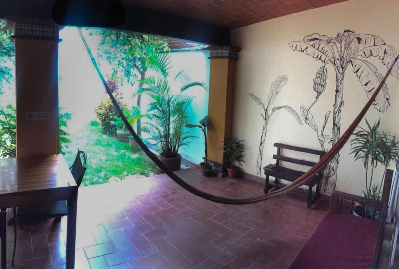 Los Nardos Hostel -Pet Friendly- Oaxaca 外观 照片