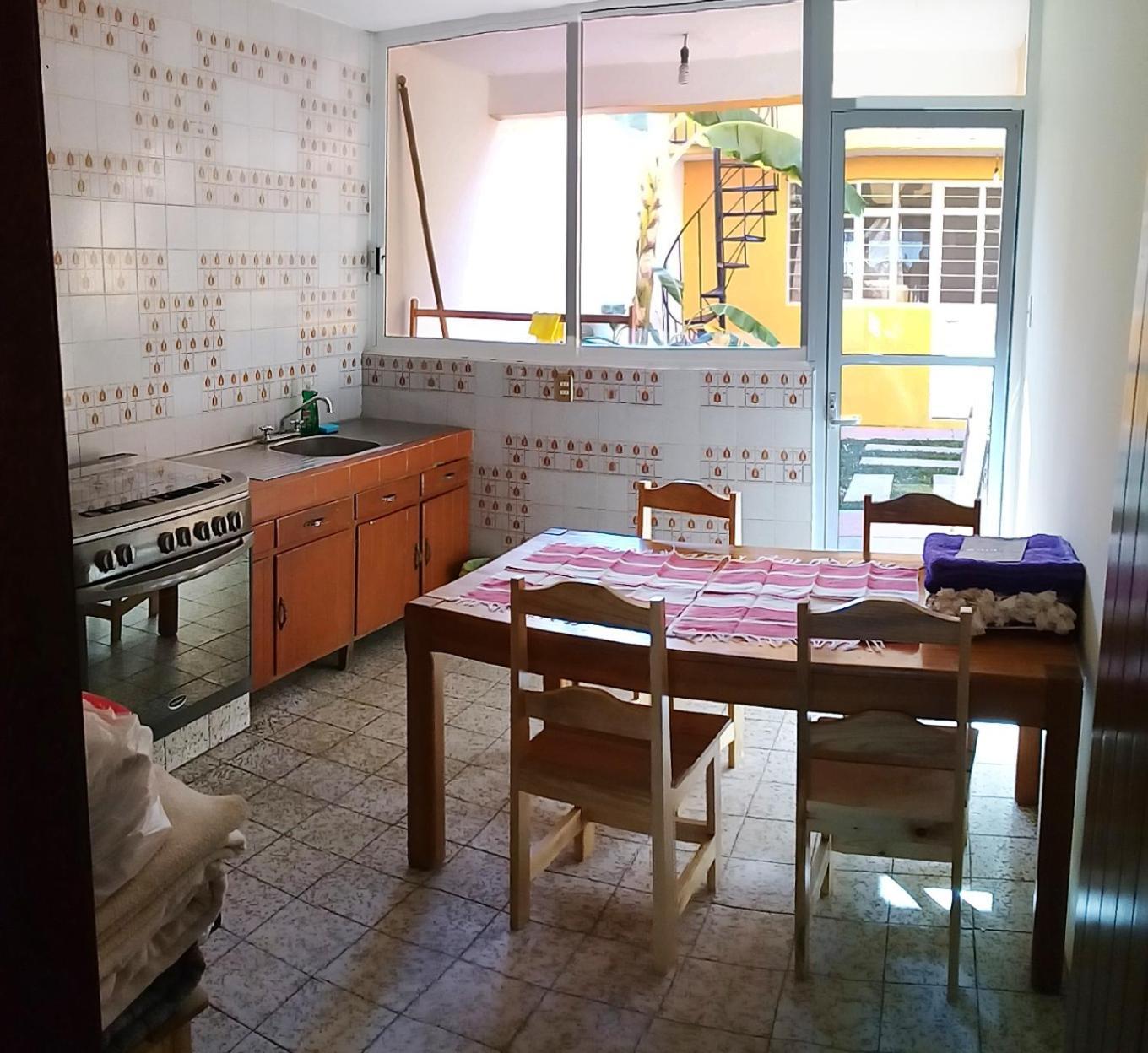 Los Nardos Hostel -Pet Friendly- Oaxaca 外观 照片