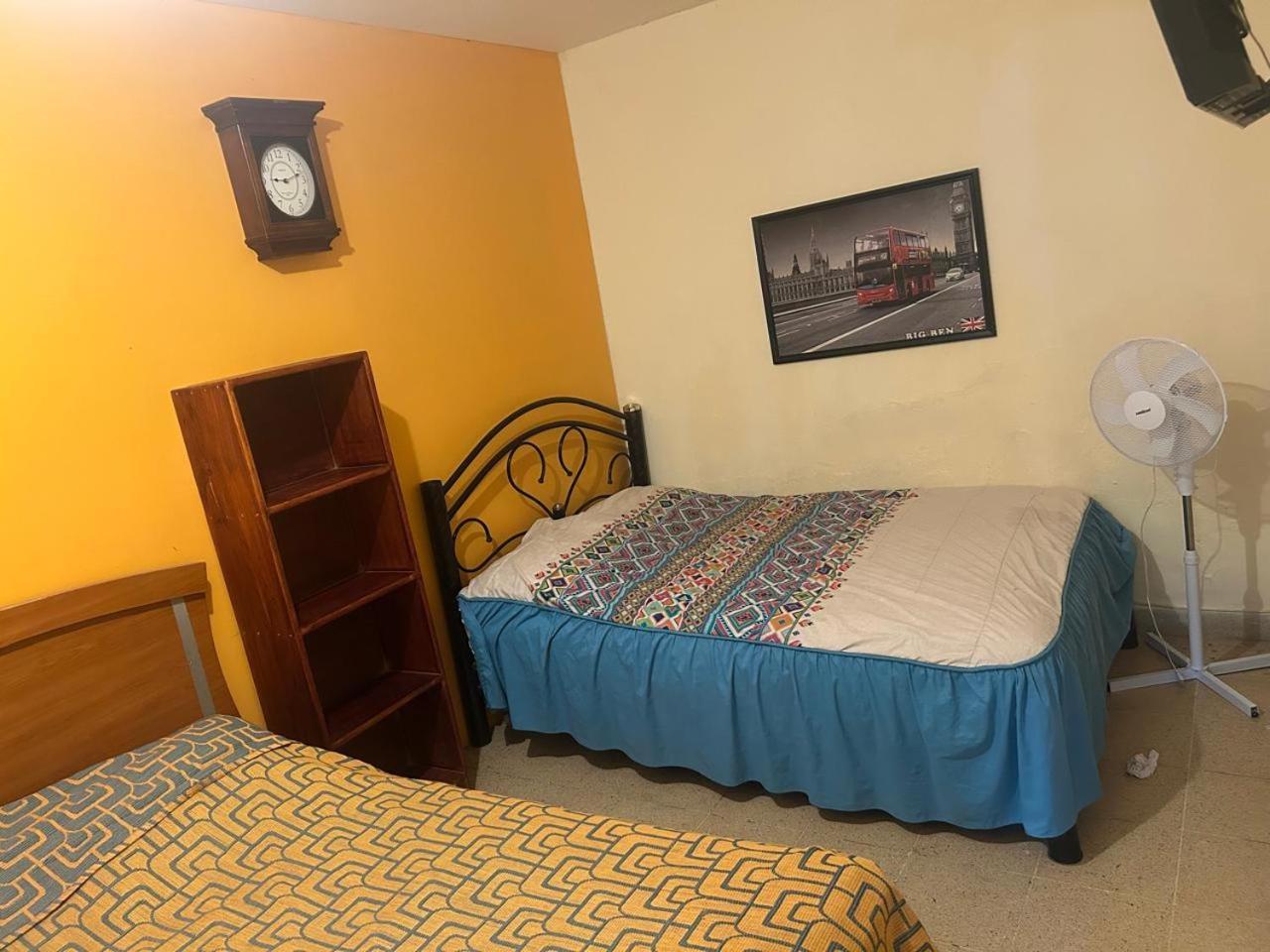 Los Nardos Hostel -Pet Friendly- Oaxaca 外观 照片